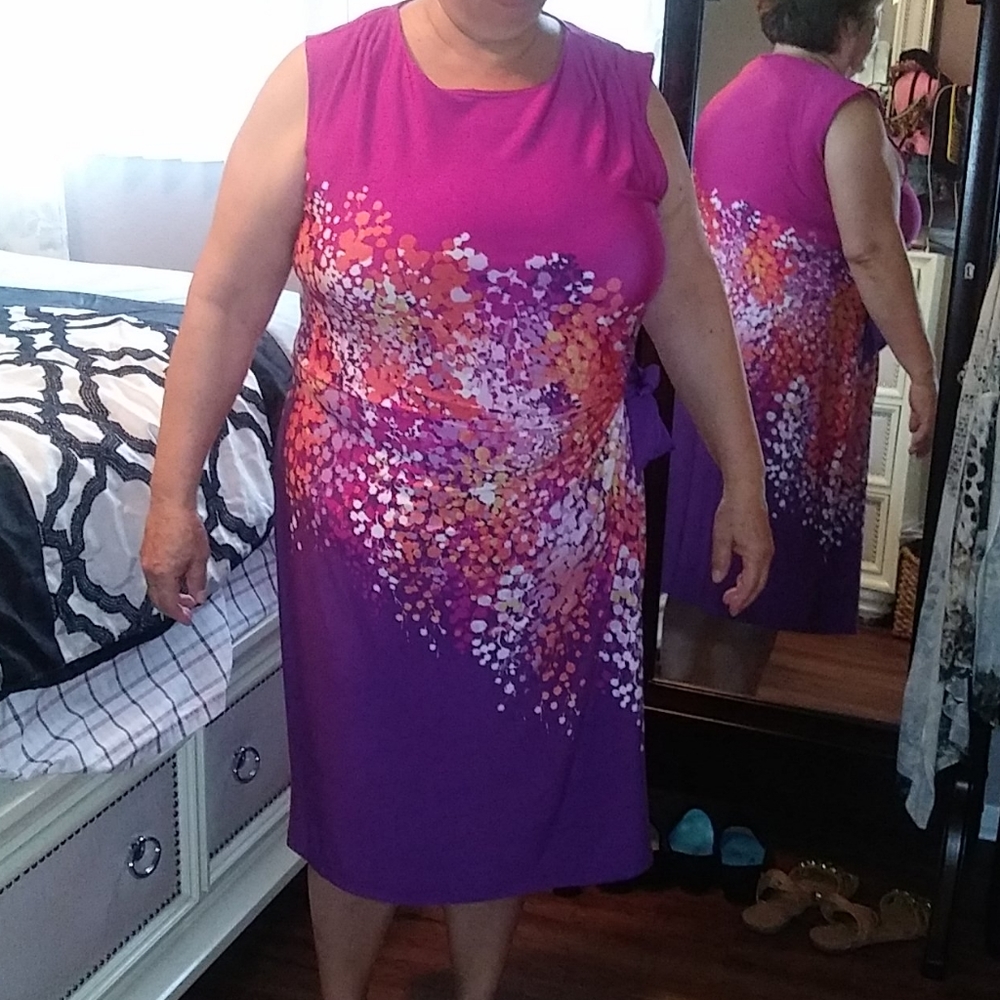 Sheath Dress - Picture 4 of 5